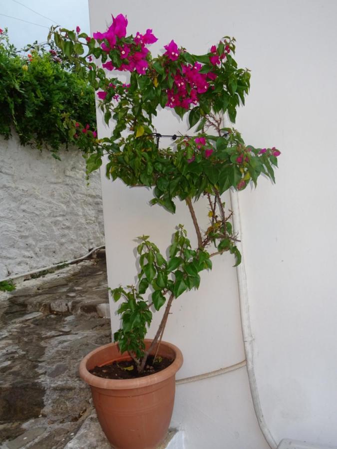 Fotis House Villa Koroni  Exterior photo